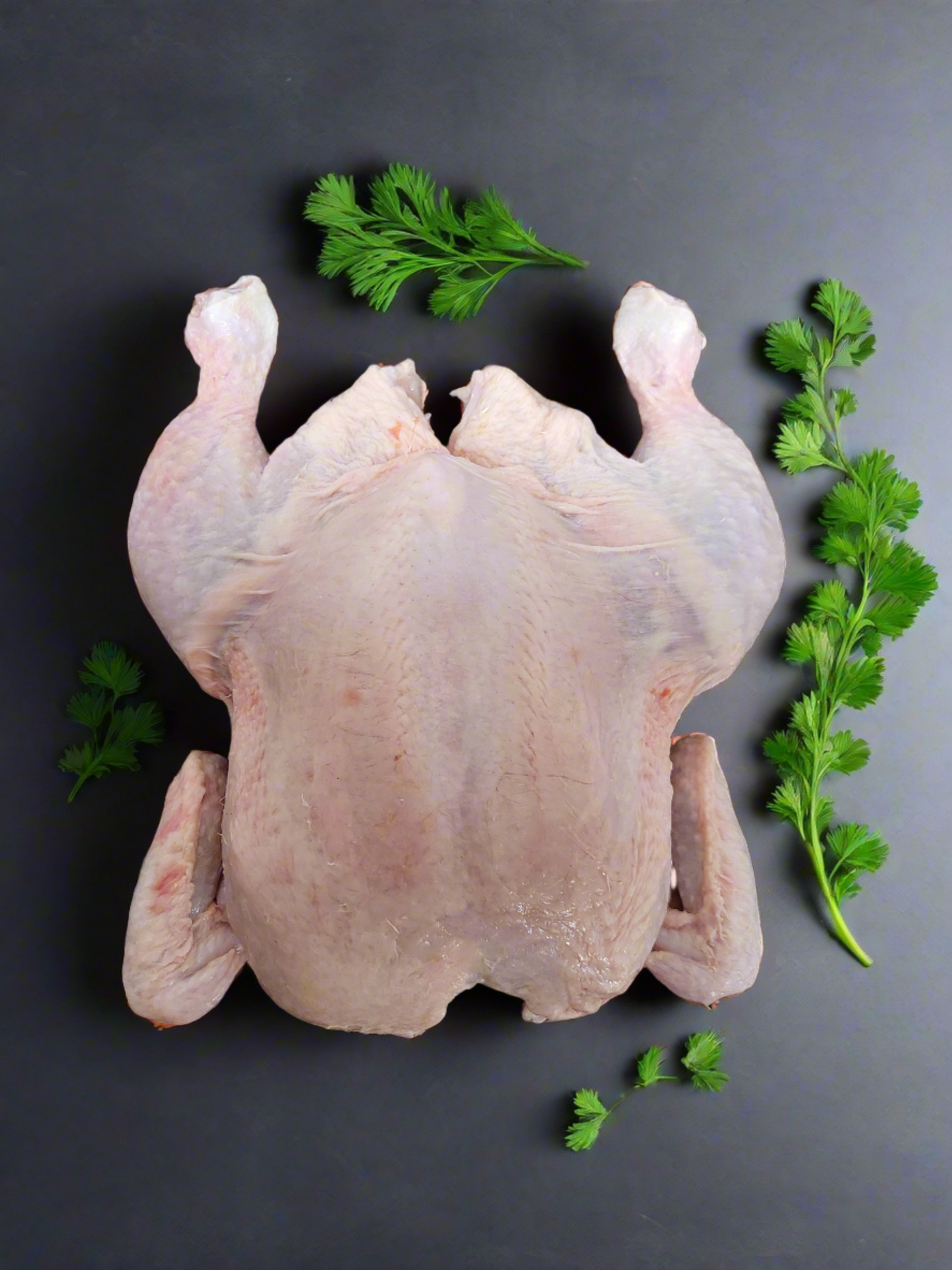 Free Range Flat Chicken