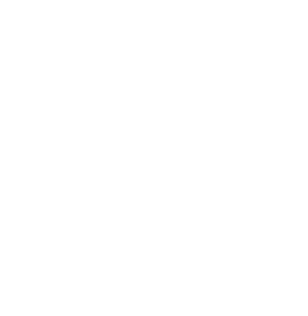 Superior Meats on Addison